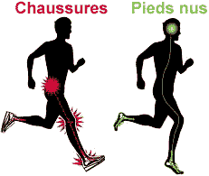 Image montrant l'impact de la course médio-pied (obligatoire en chaussures minimalistes) comparé à une course talon (le plus souvent pratiqué en chaussures standards)